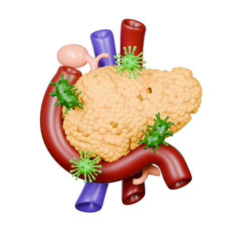 Pancreas Diseases  3D Icon
