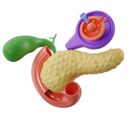 Pancreas With Cell  3D Icon