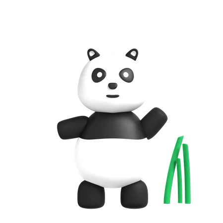 Panda  3D Illustration