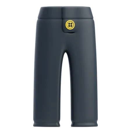 Pantalon  3D Icon