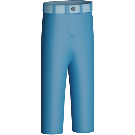 Pantalon  3D Icon