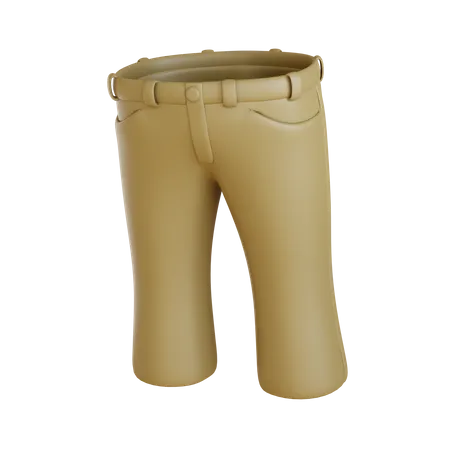 Pantalon bootcut  3D Icon