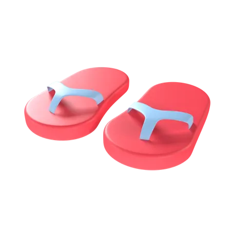 Chaussons  3D Illustration