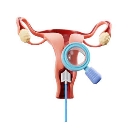 Pap Smear Check  3D Icon