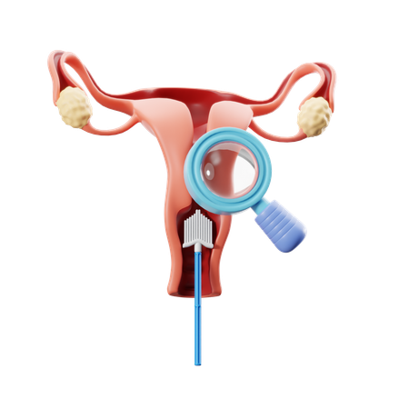 Exame de Papanicolau  3D Icon