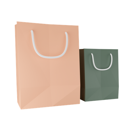 Paper Bag  3D Illustration