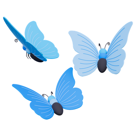 Papillon  3D Icon