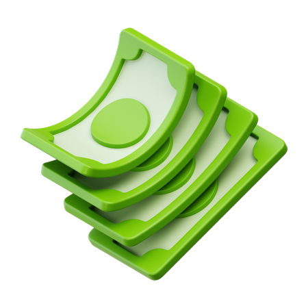 Paquet d'argent  3D Icon
