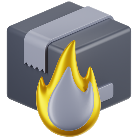 Paquete de fuego  3D Icon