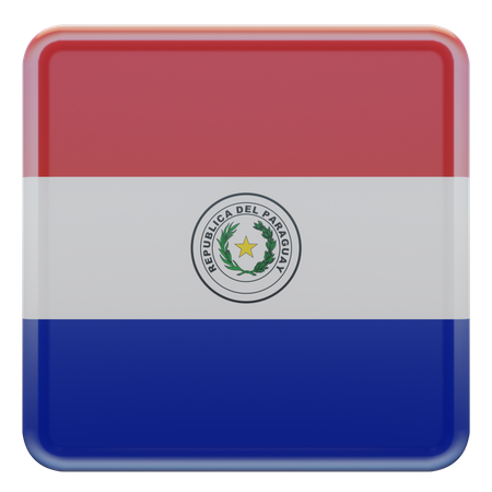 Paraguay Flag  3D Illustration