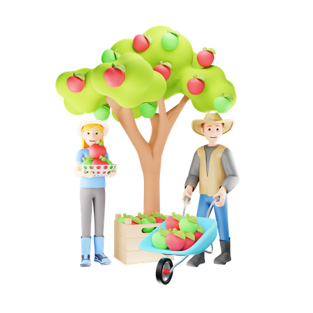 Pareja de agricultores cosechando manzana  3D Illustration