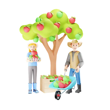 Pareja de agricultores cosechando manzana  3D Illustration