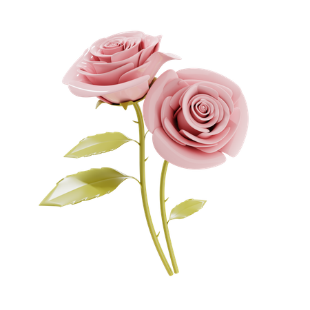 Un par de flores color de rosa  3D Illustration