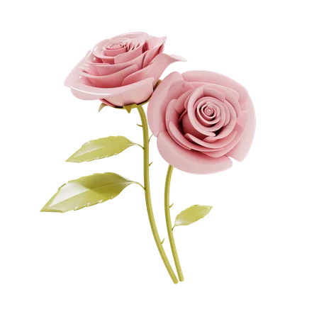 Un par de flores color de rosa  3D Illustration