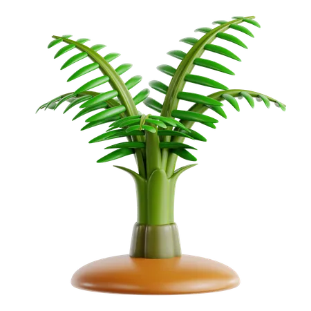 Parlor Palm  3D Icon