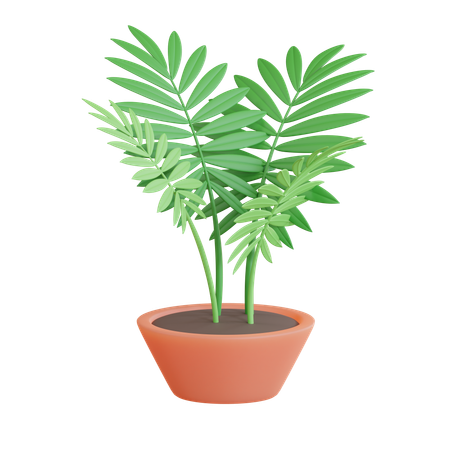 Parlor Palm Pot  3D Icon