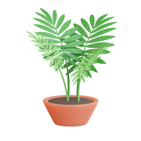 Parlor Palm Pot  3D Icon