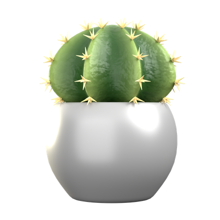 Parodia  3D Icon