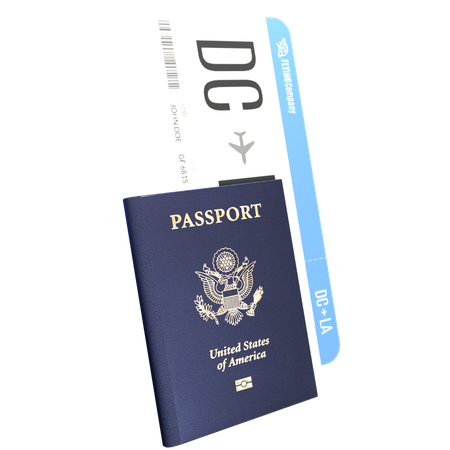 Passaporte cartão de embarque  3D Icon