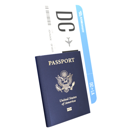 Passport Boarding Pass  3D Icon