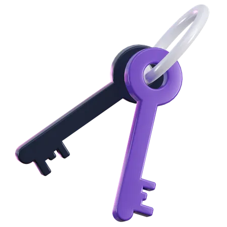 Password Key  3D Icon