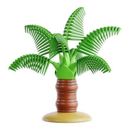 Paume en fuseau  3D Icon