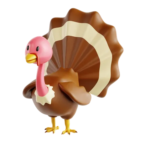 Pavo  3D Icon