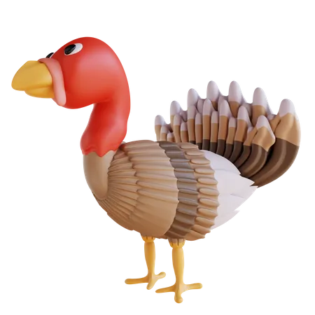 Pavo  3D Icon