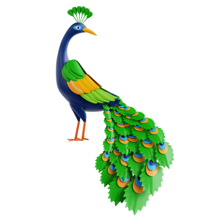 Pavo real  3D Icon