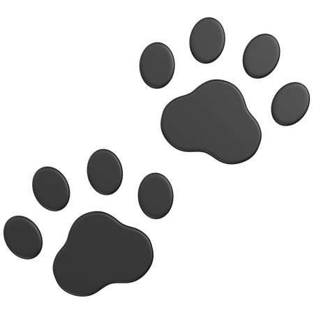 Pawprint  3D Icon