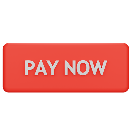 Pay Button  3D Icon