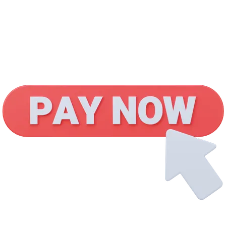 Pay Button  3D Icon