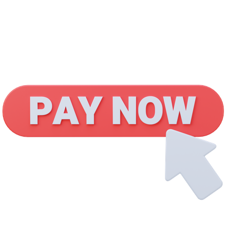 Pay Button  3D Icon