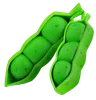 Pea