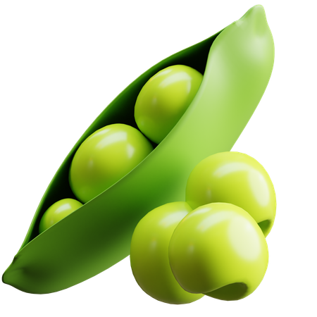 Pea  3D Icon