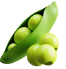 Pea