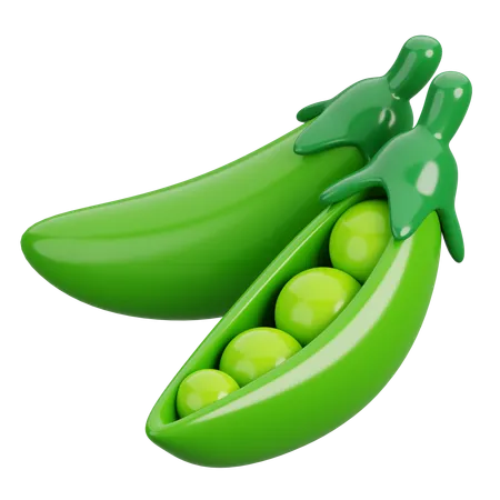 Pea  3D Icon