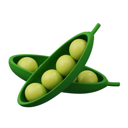 Pea  3D Icon