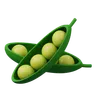 Pea