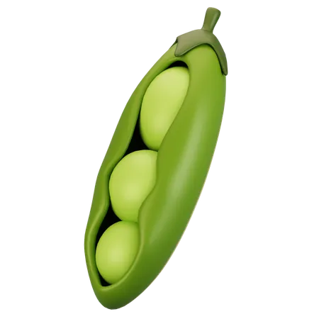 Pea  3D Icon