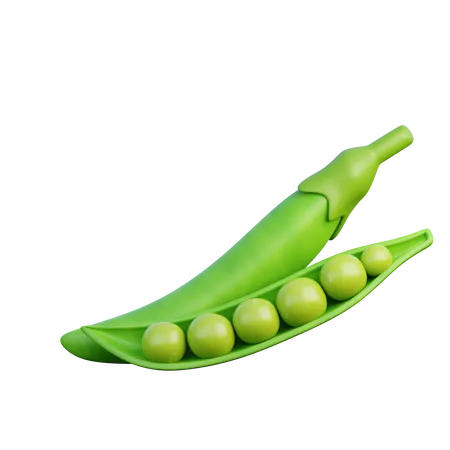Pea Seed  3D Icon