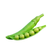 Pea Seed