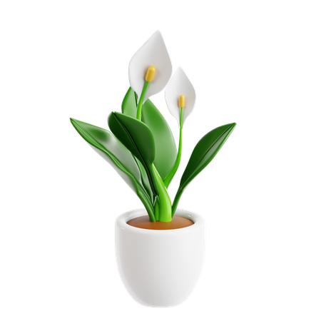 Peace Lily  3D Icon