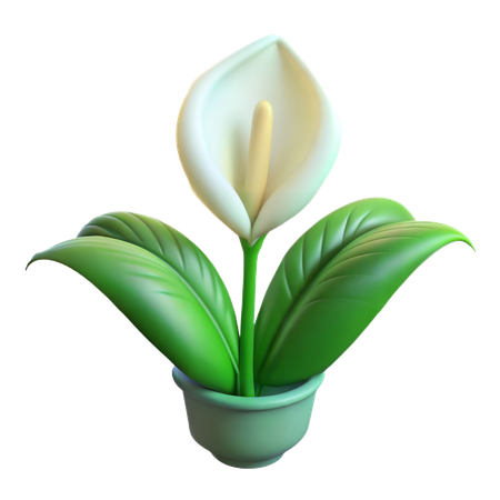 Peace Lily Plant  3D Icon