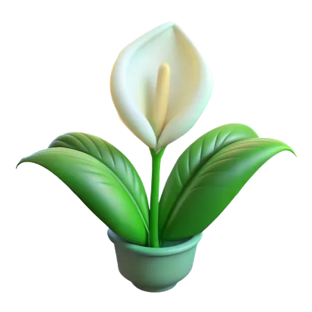 Peace Lily Plant  3D Icon