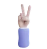 peace Sign Hand Gesture
