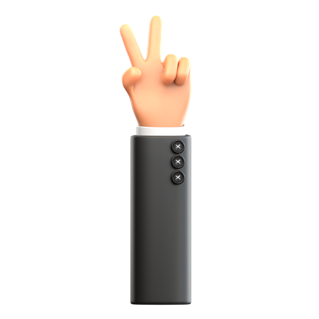 Peaceful Hand Gesture  3D Icon