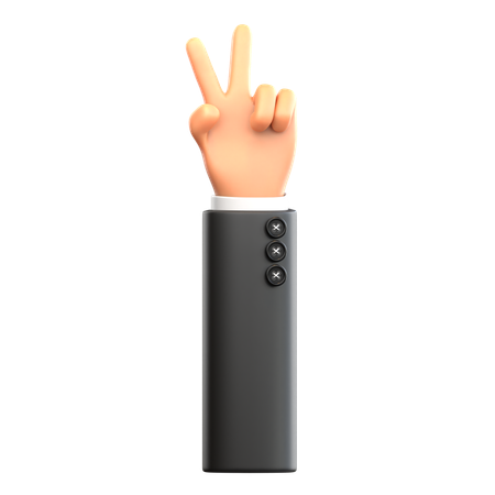 Peaceful Hand Gesture  3D Icon