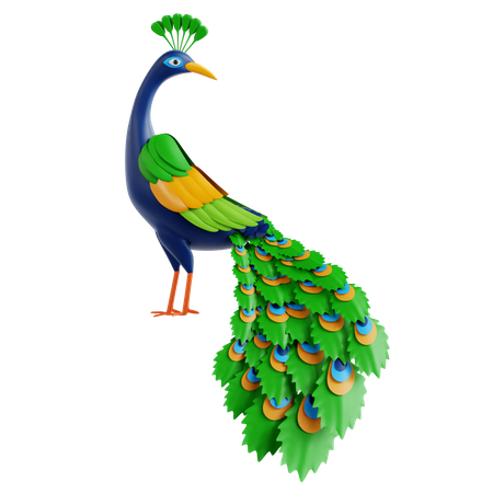 Peacock  3D Icon