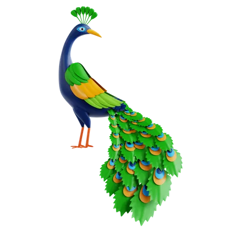 Peacock  3D Icon